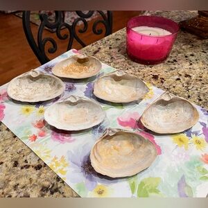 North Atlantic Clam Shells (6) — 4-5”